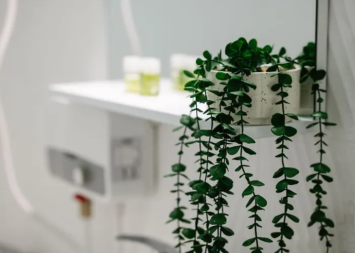 Apartament Helen Bucureşti