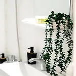 Helen Apartament Bucureşti